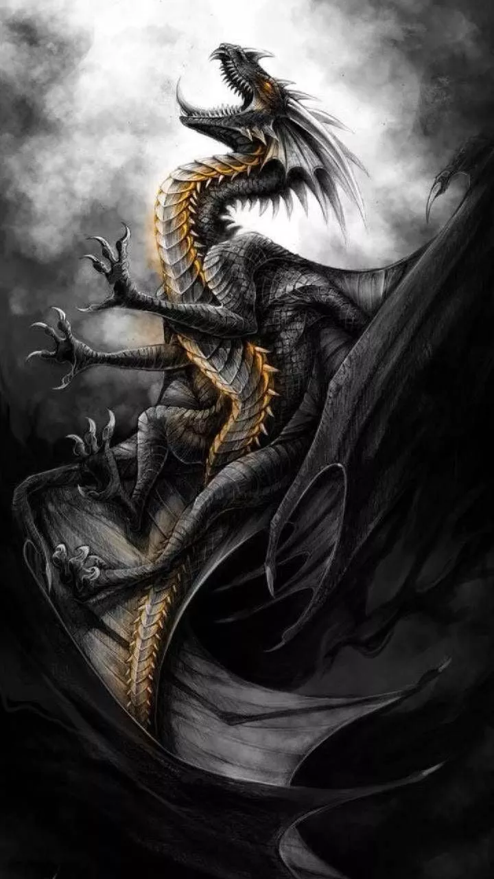 Black dragon wallpaper