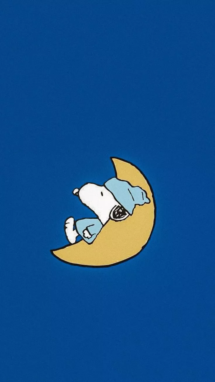 Sleepy snoopy night time moon aesthetic