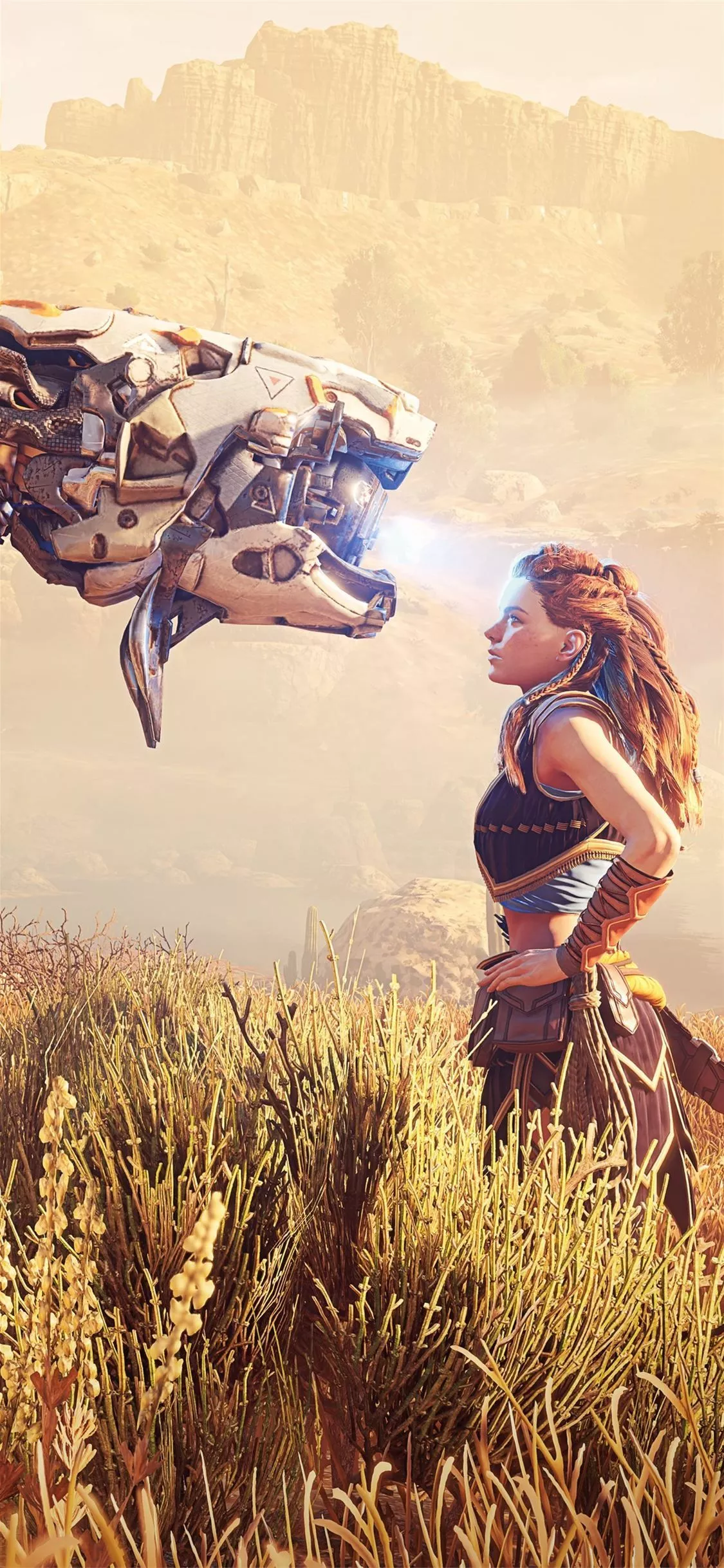aloy horizon zero dawn 2021 5k iPhone X