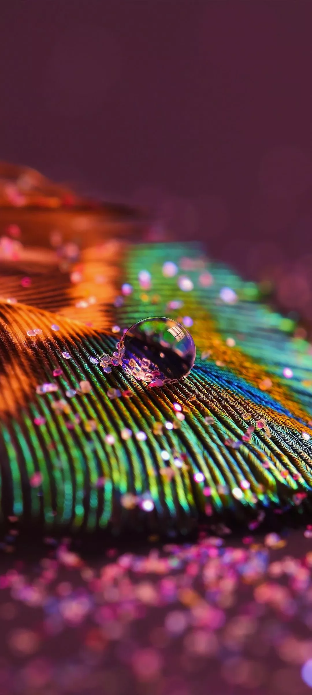 Peacock feather Wallpaper 4K, Aesthetic