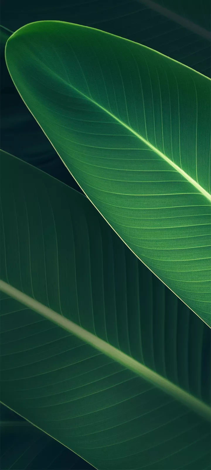 Infinix Smart 9 HD wallpaper