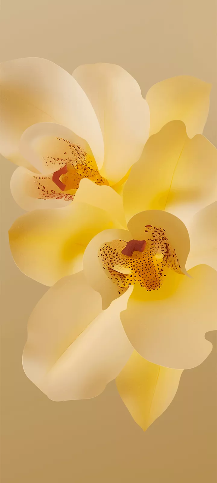 Infinix Smart 9 HD wallpaper