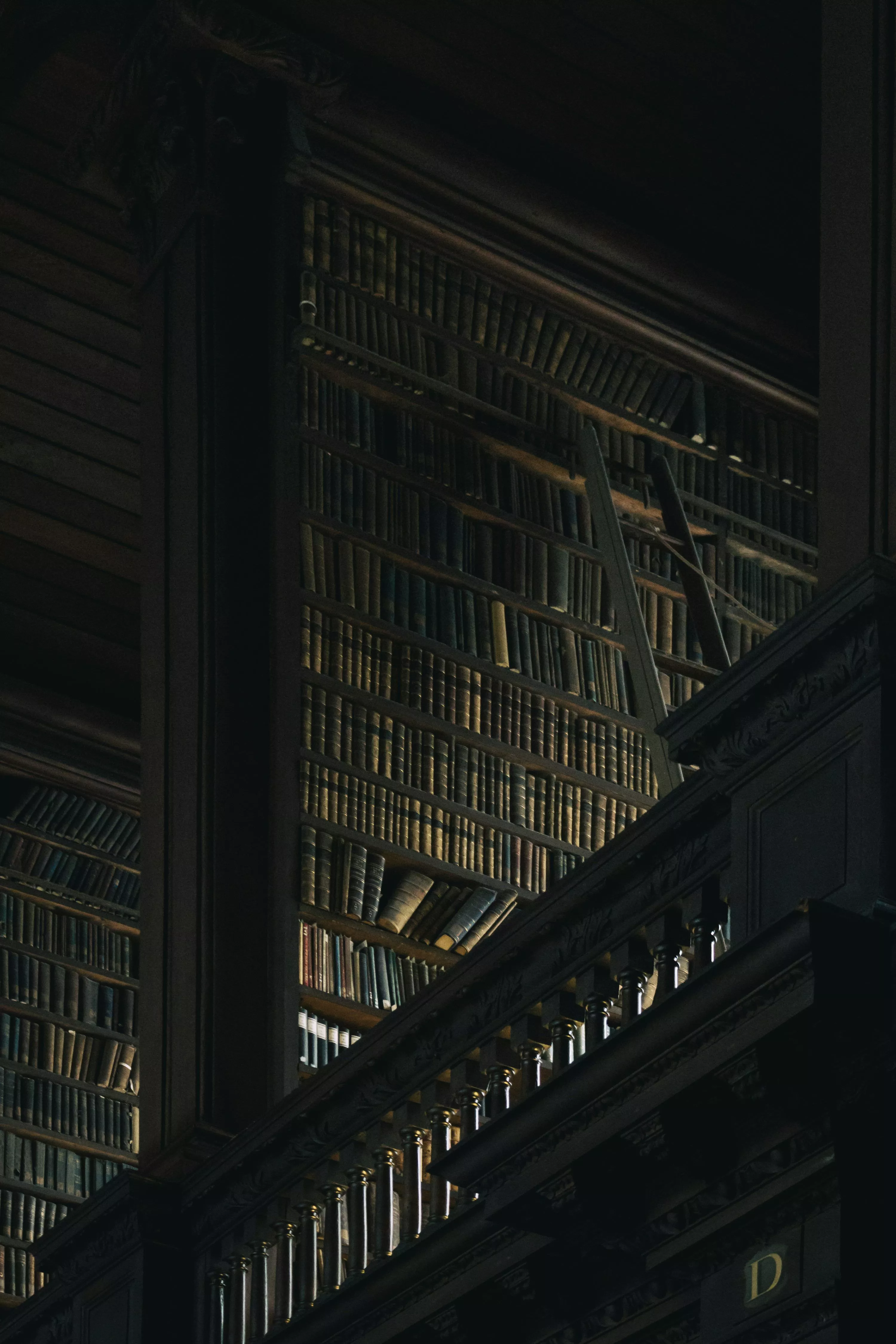 Dark Academia Library Picture