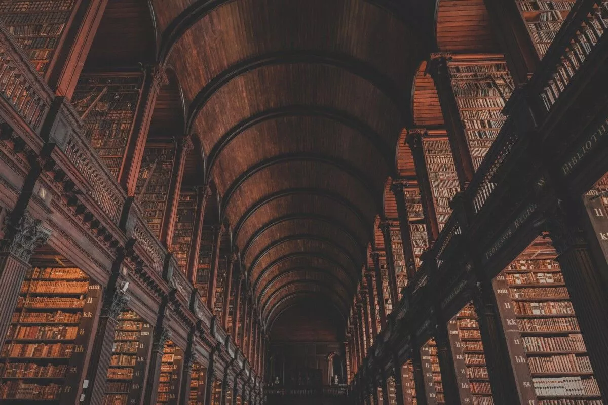 Gorgeous Dark Academia Libraries You