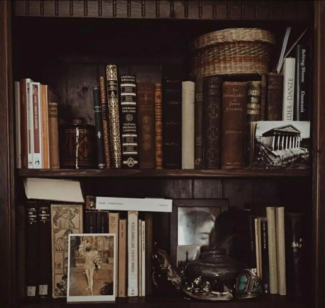Dark Academia Aesthetic Library Scene