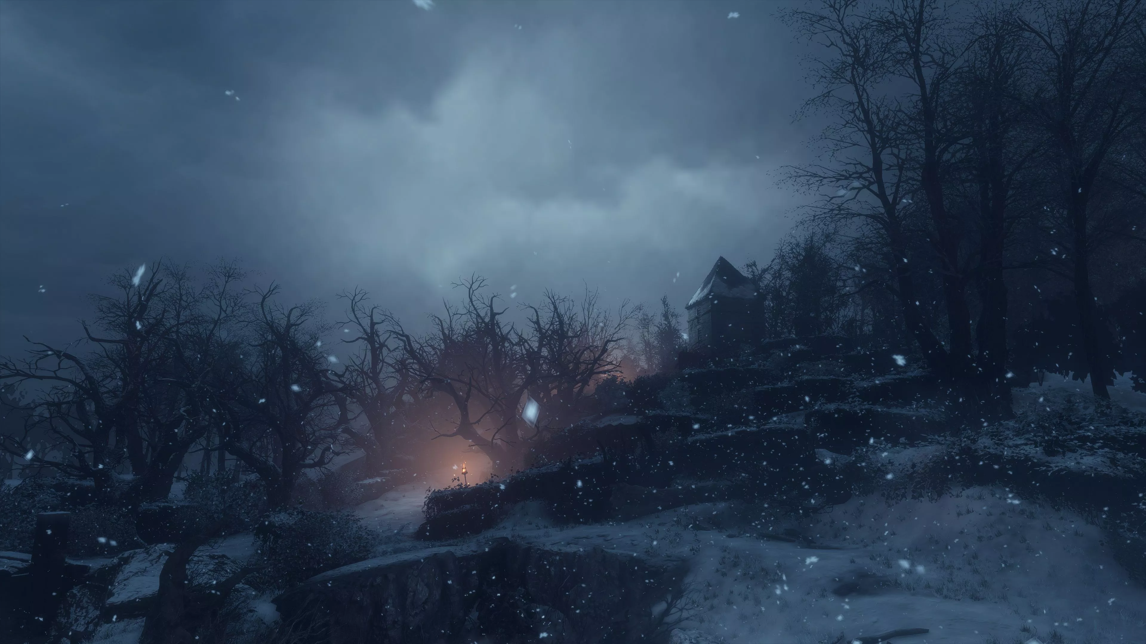 Wallpaper snow, night, a plague tale
