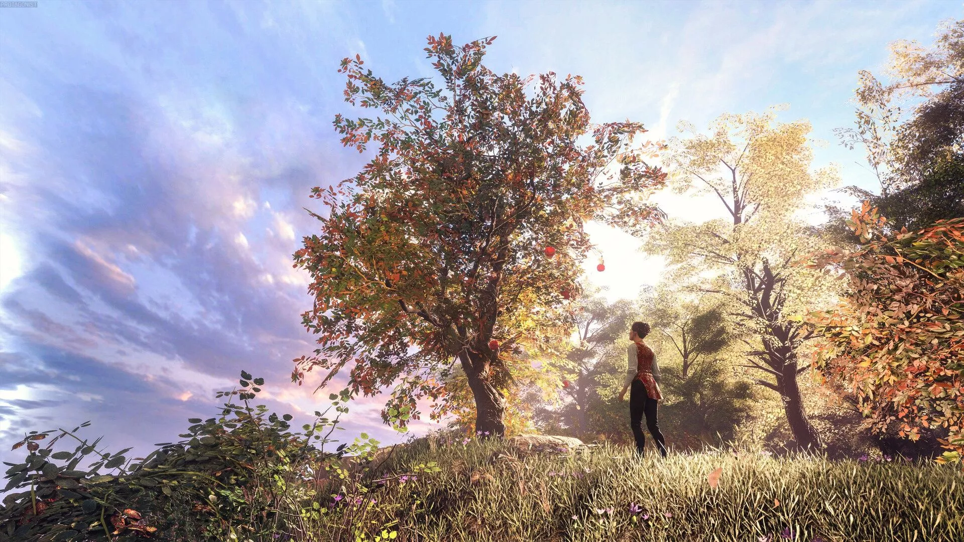 A Plague Tale Innocence, Amicia de Rune