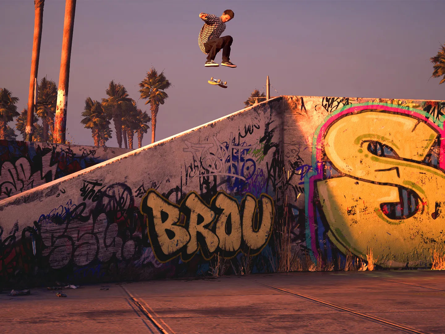Tony Hawk's Pro Skater 1 and 2 defined