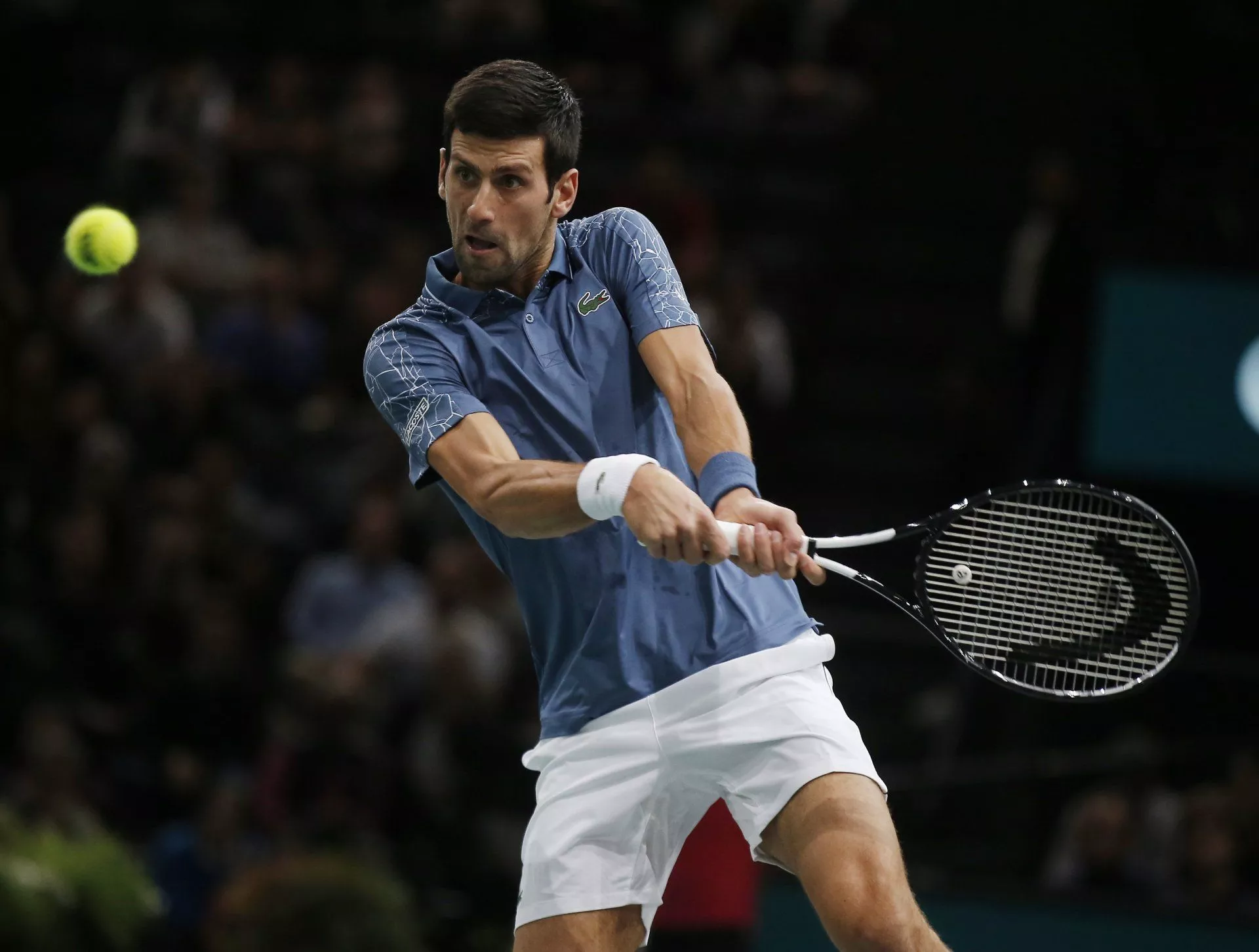 Download Serbian Tennis Novak Djokovic