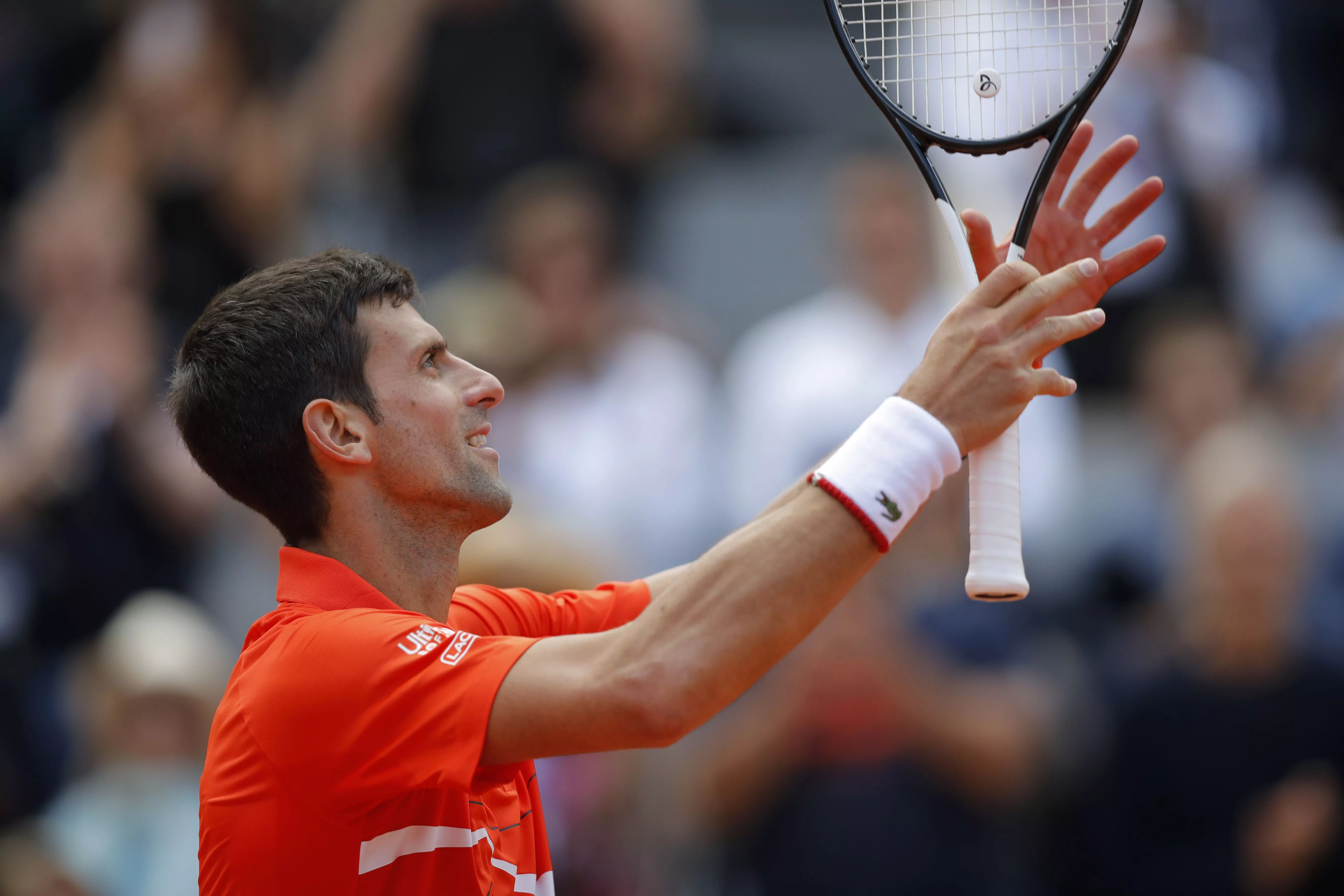 Serbian Tennis Novak Djokovic Sports