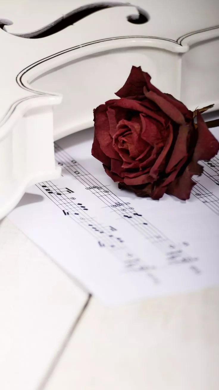 Light Academia iPhone Wallpaper