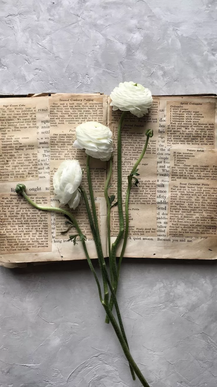 Light Academia iPhone Wallpaper