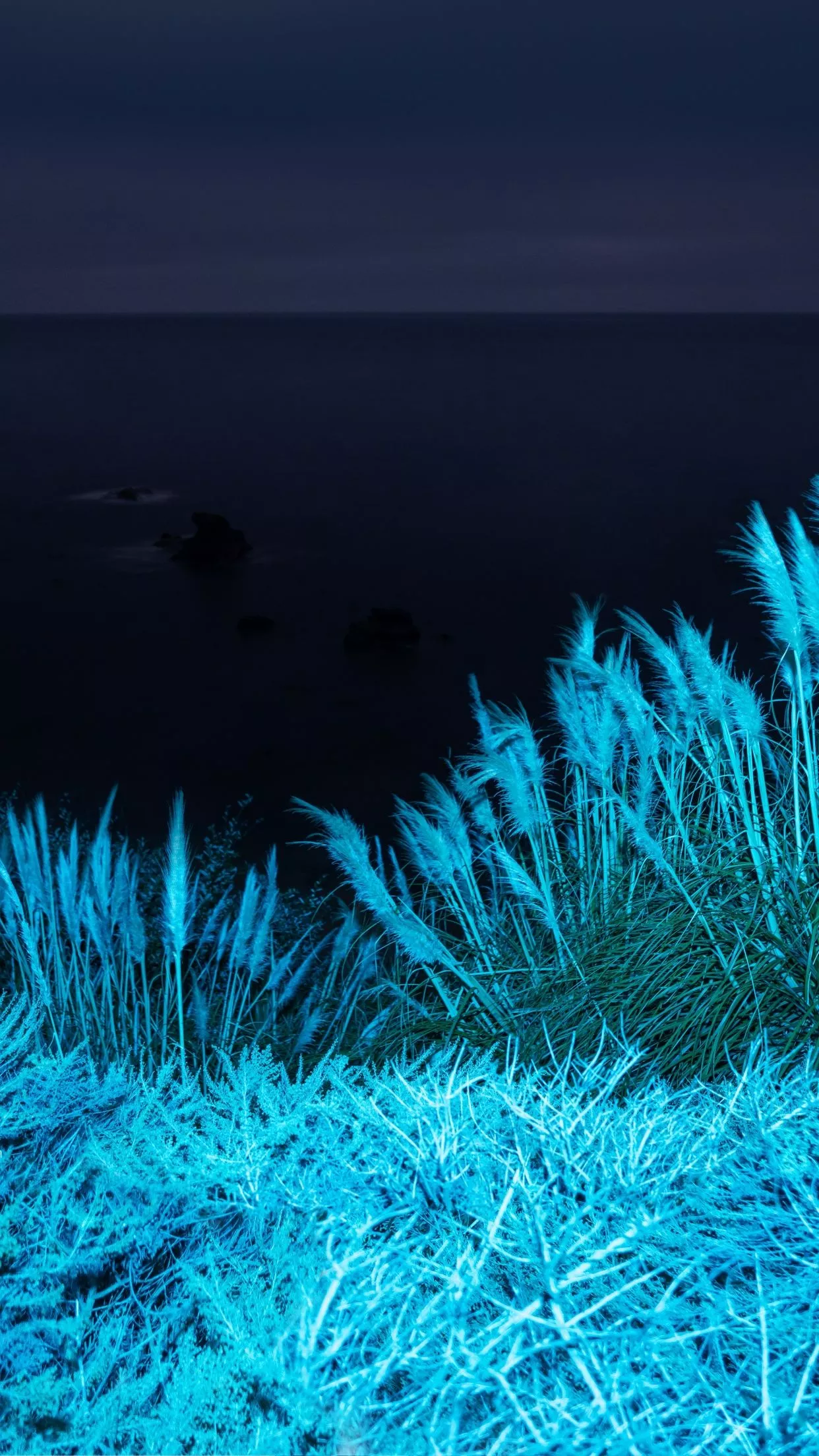 macOS Big Sur Wallpaper 4K, Infrared