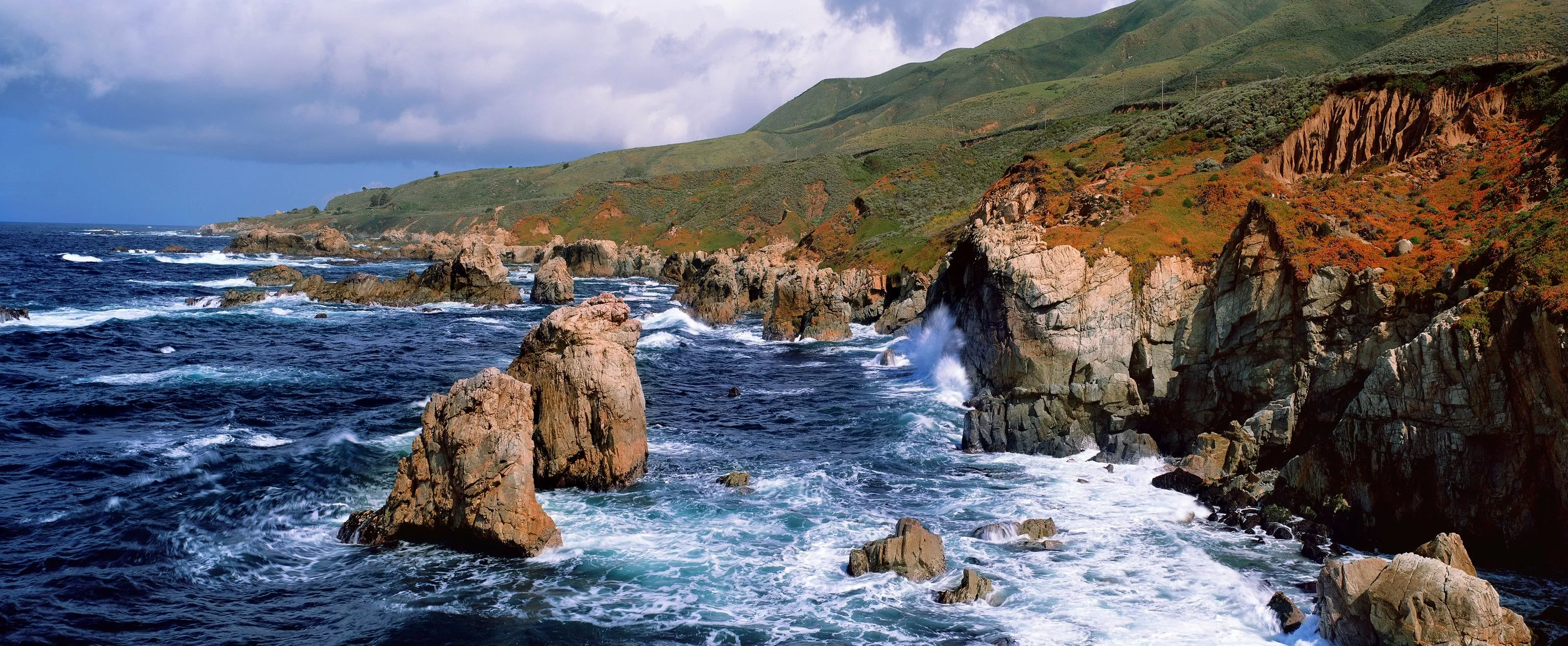 California Mural Wallpaper