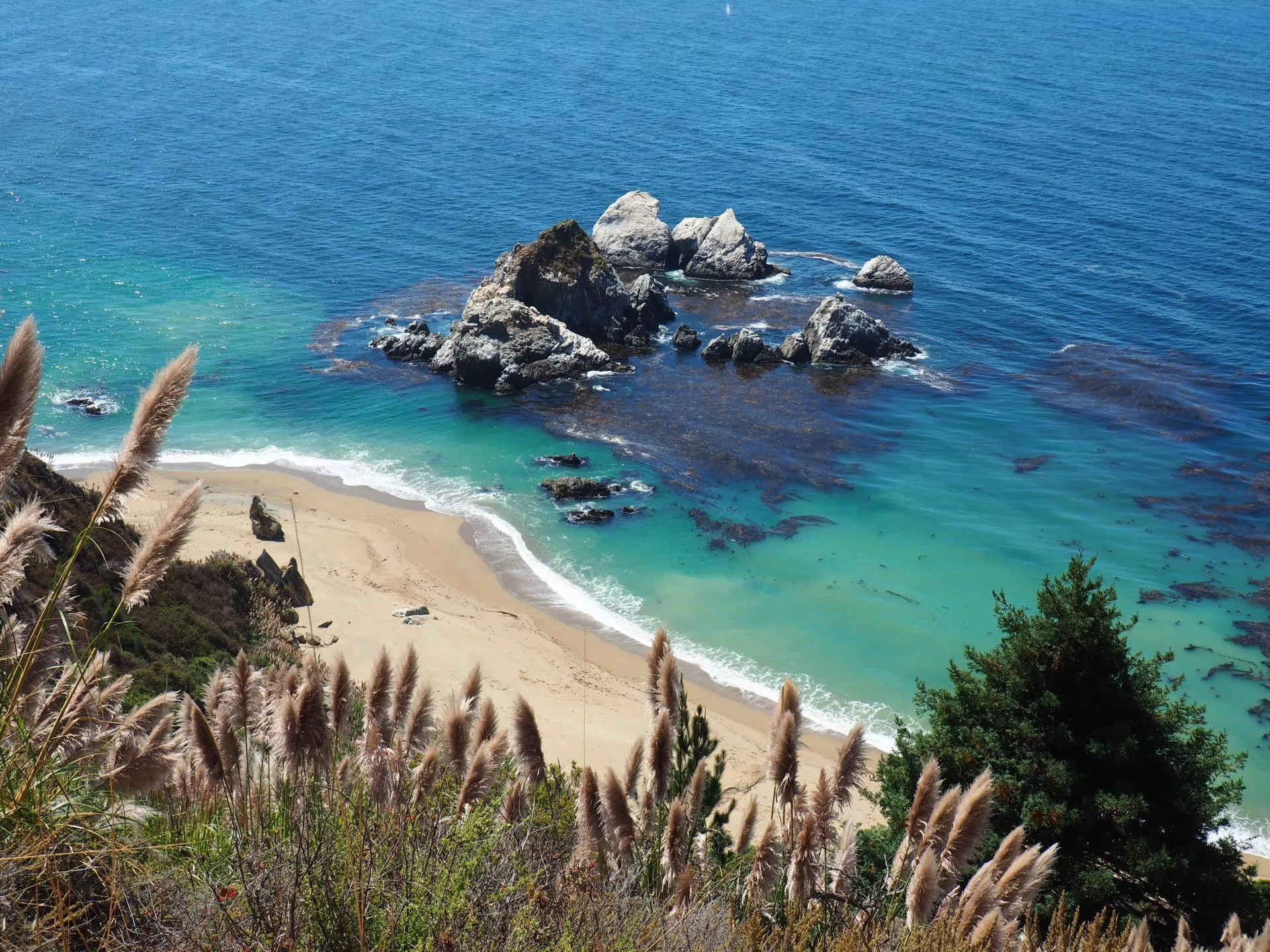 PHOTOS: Big Sur rough charm