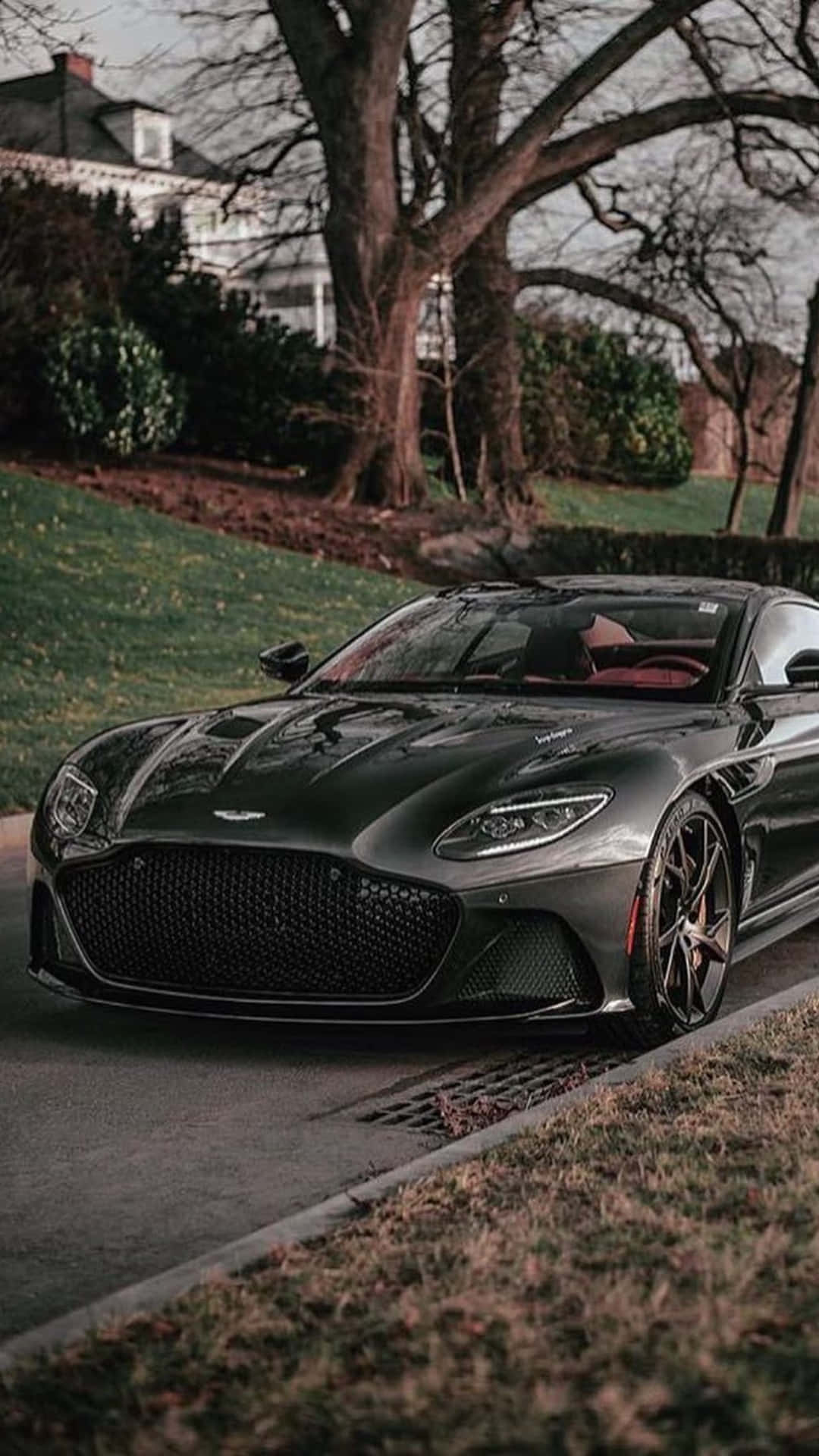 Aston Martin Dbs Superleggera