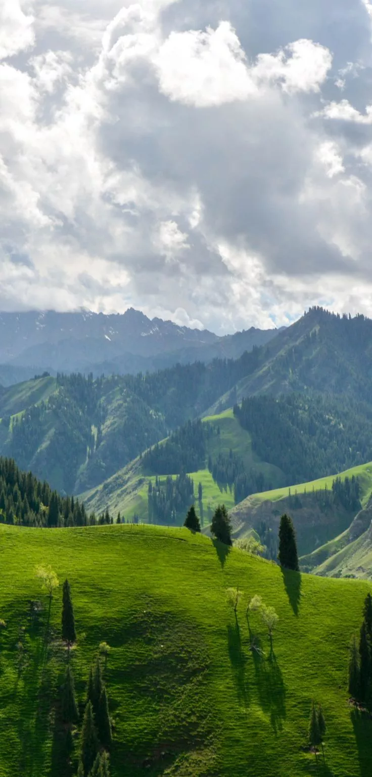 Wallpaper for iPhone 12 Pro and iPhone