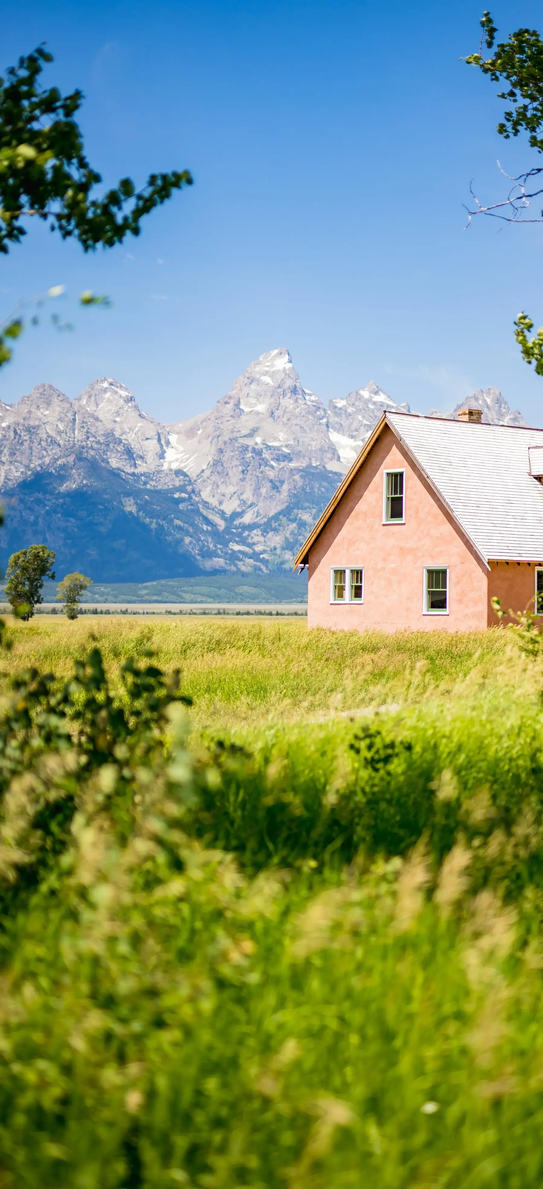 Most Popular iPhone 16 Wallpaper