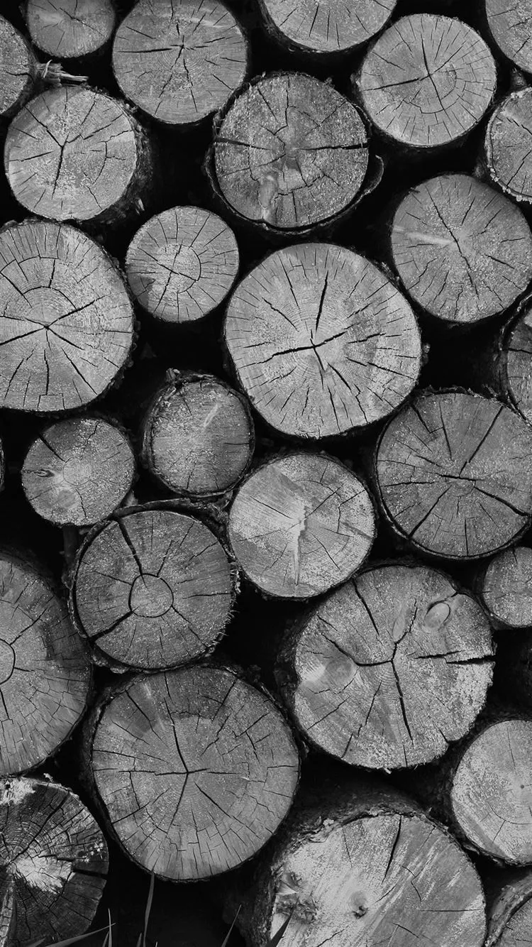 Wood Nature Cut Pattern Dark Bw iPhone