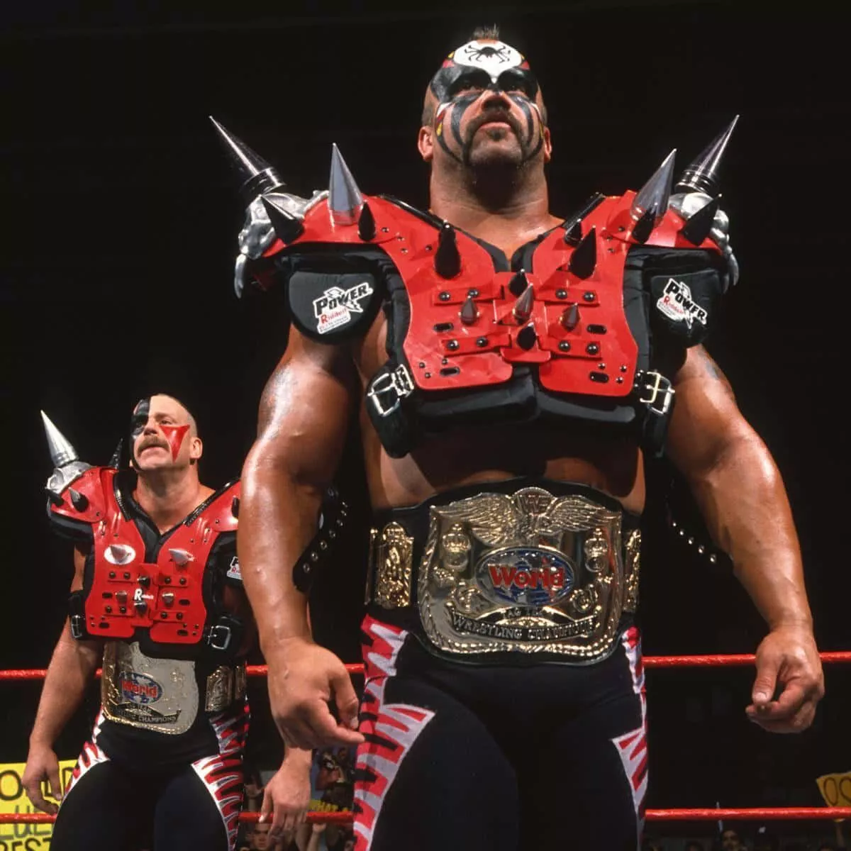 Hawk Win At WWF Wallpaper