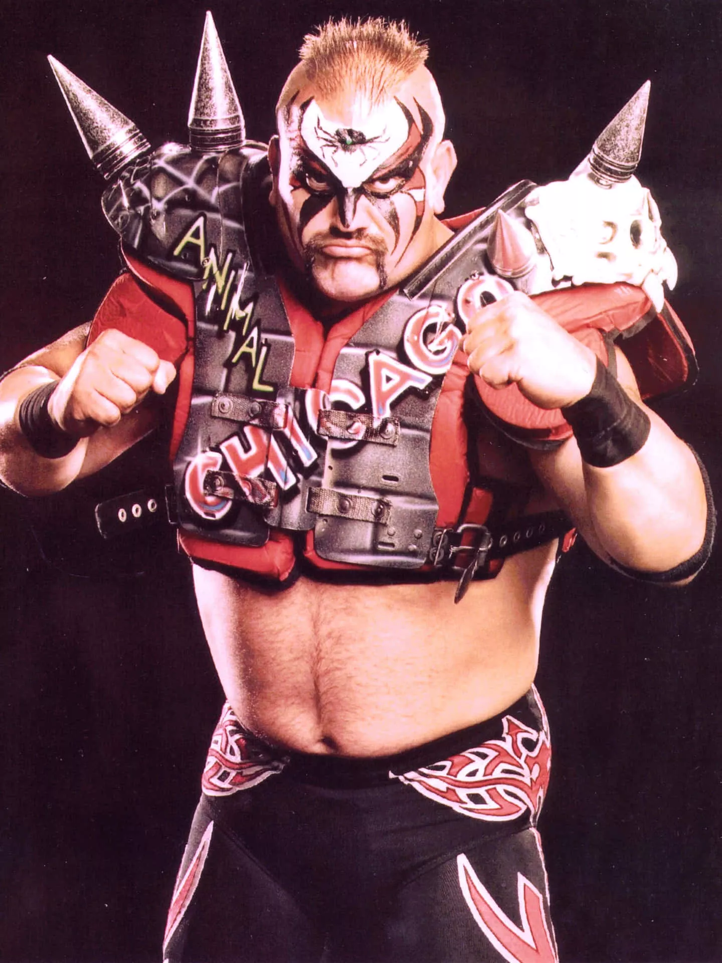 Road Warrior Animal Wallpaper