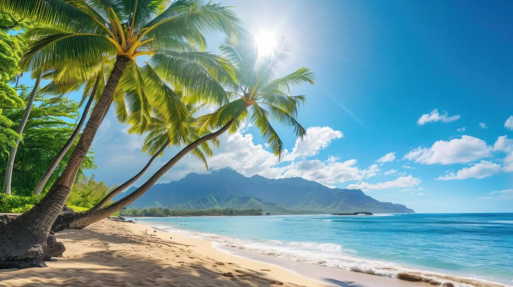 Hawaii Beach Image