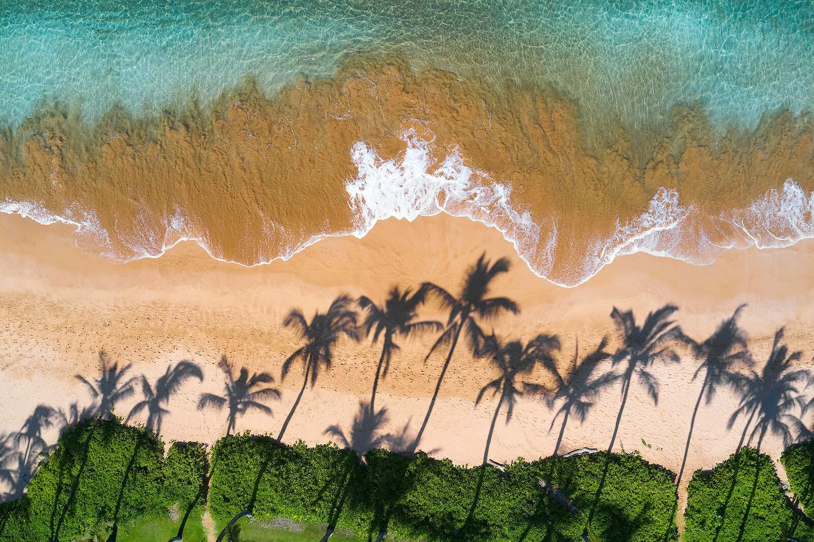 Hawaii Landscape Photography