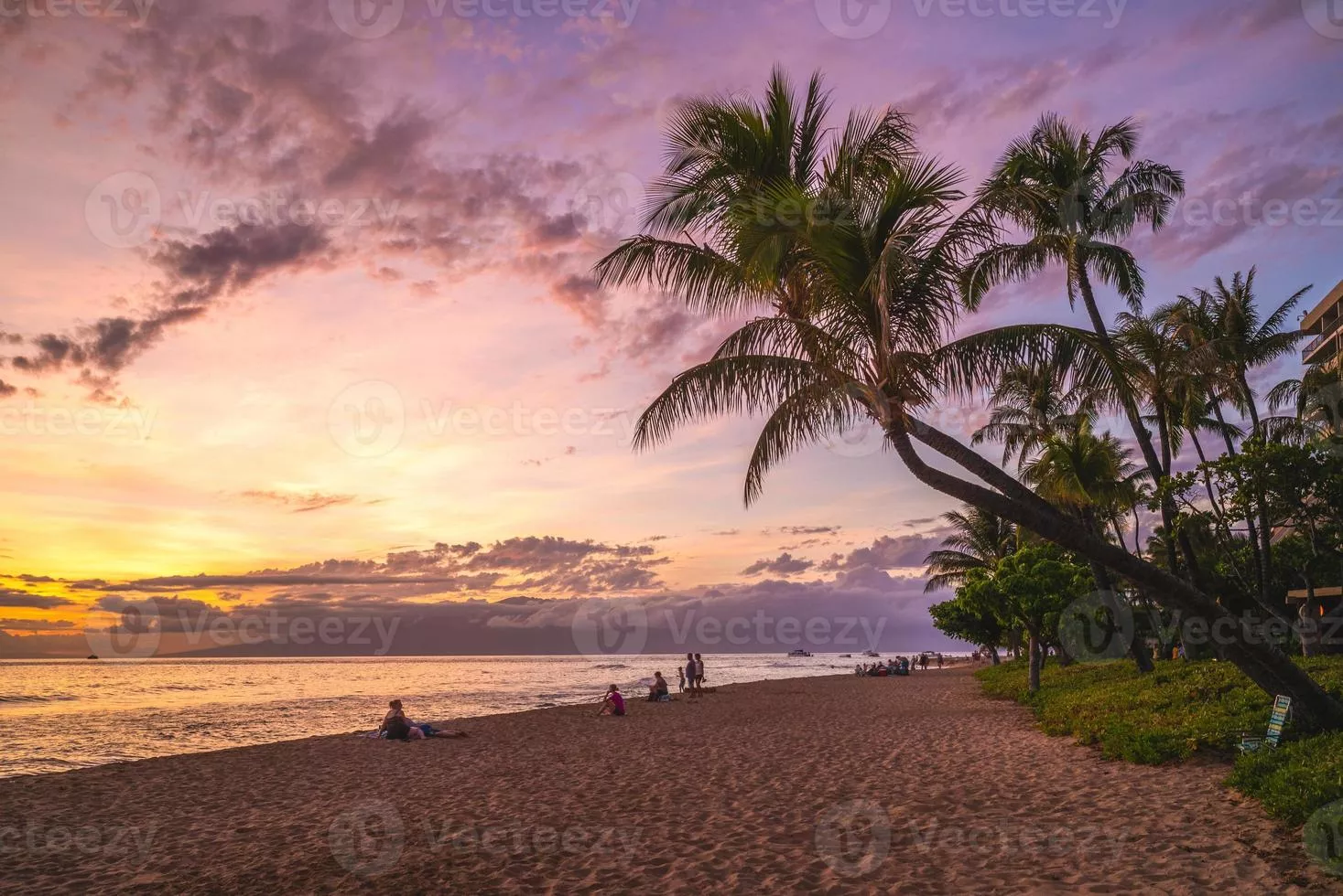 Hawaii Beach Image