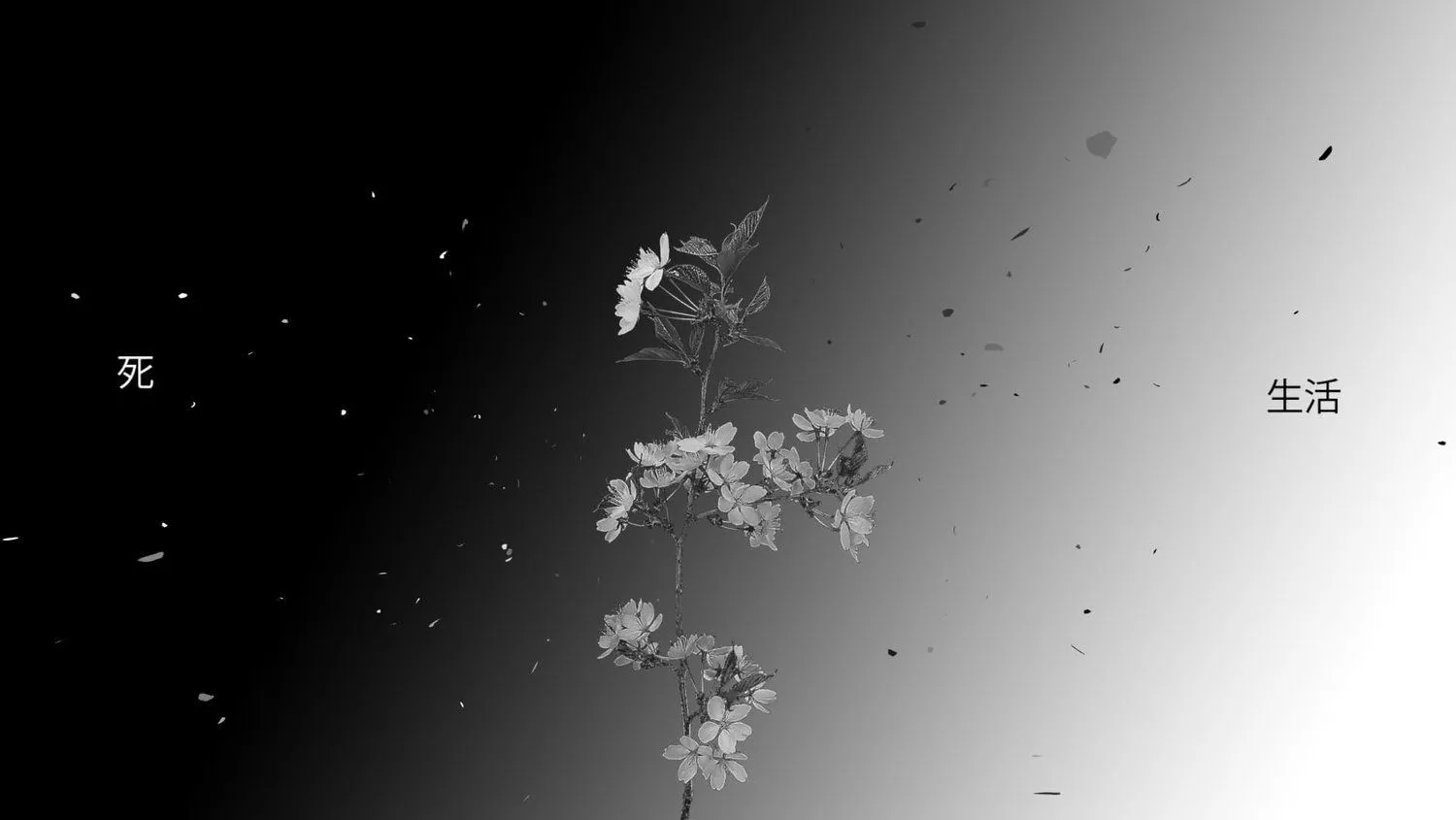 Monochrome Animation Wallpaper