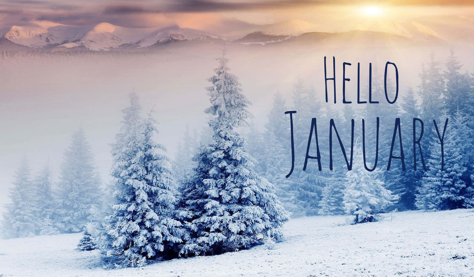 Cute January Wallpaper