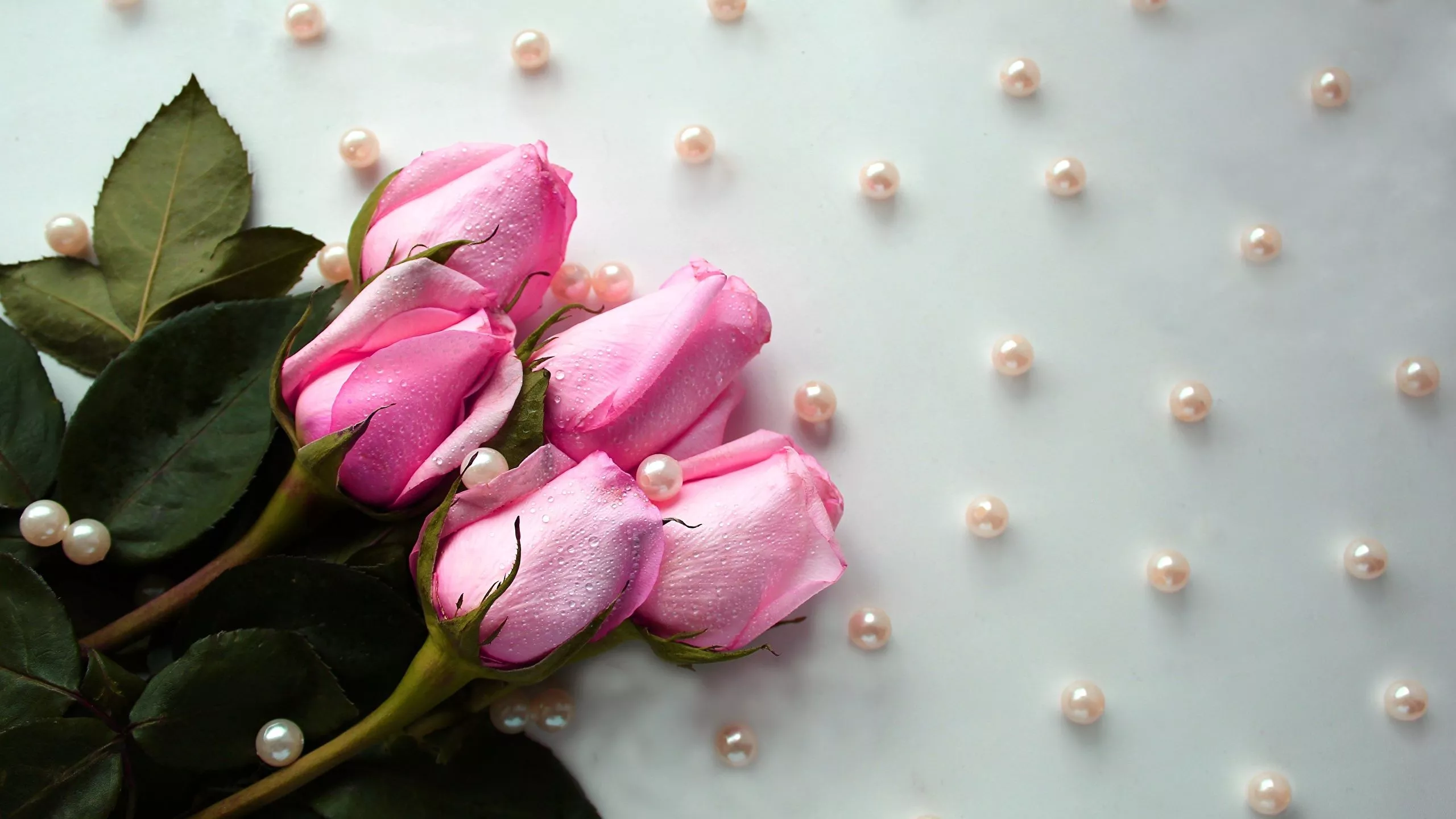 Picture Pearl Roses Pink color Drops