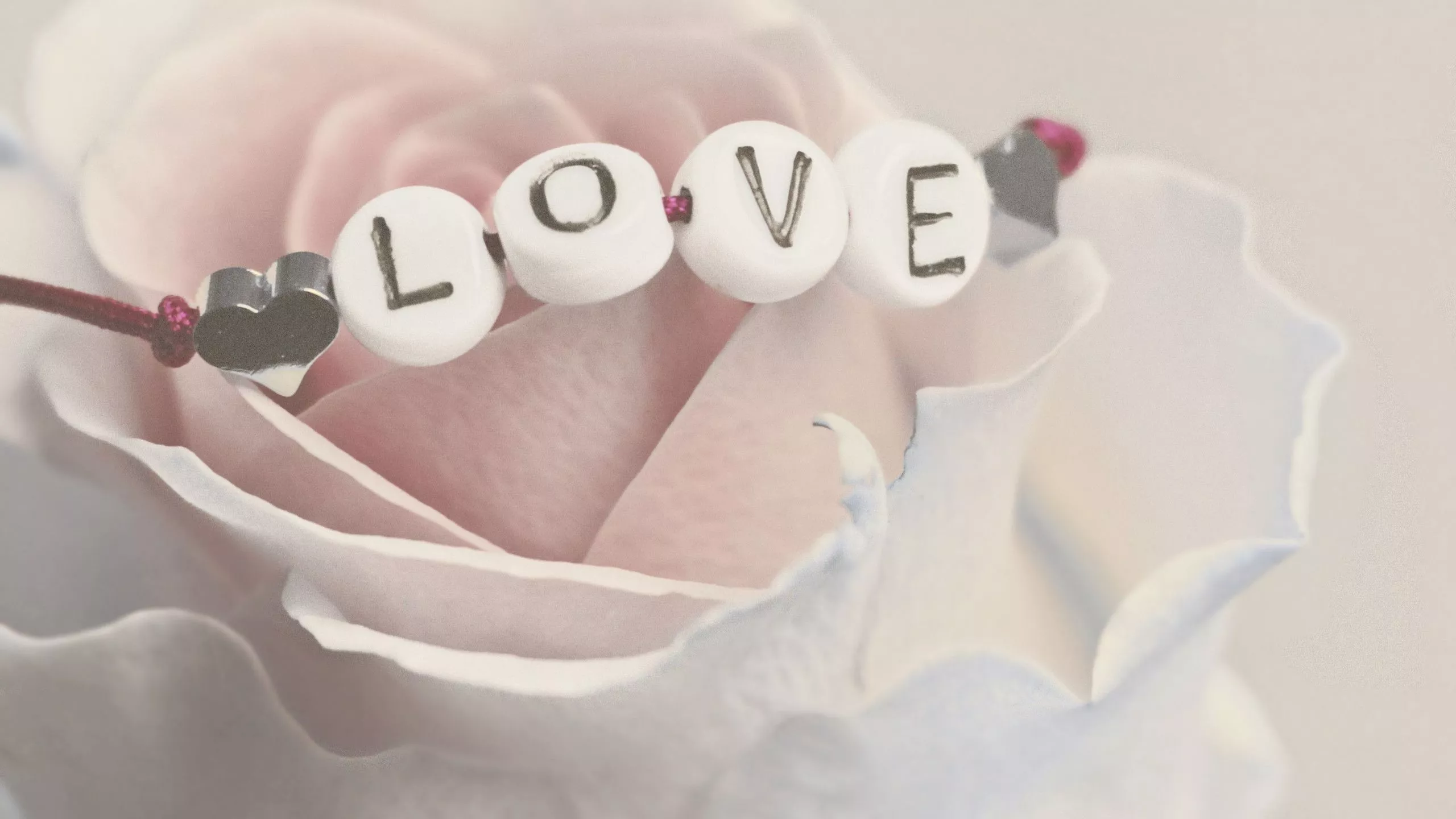 Love bracelet on a white rose 2560x1440