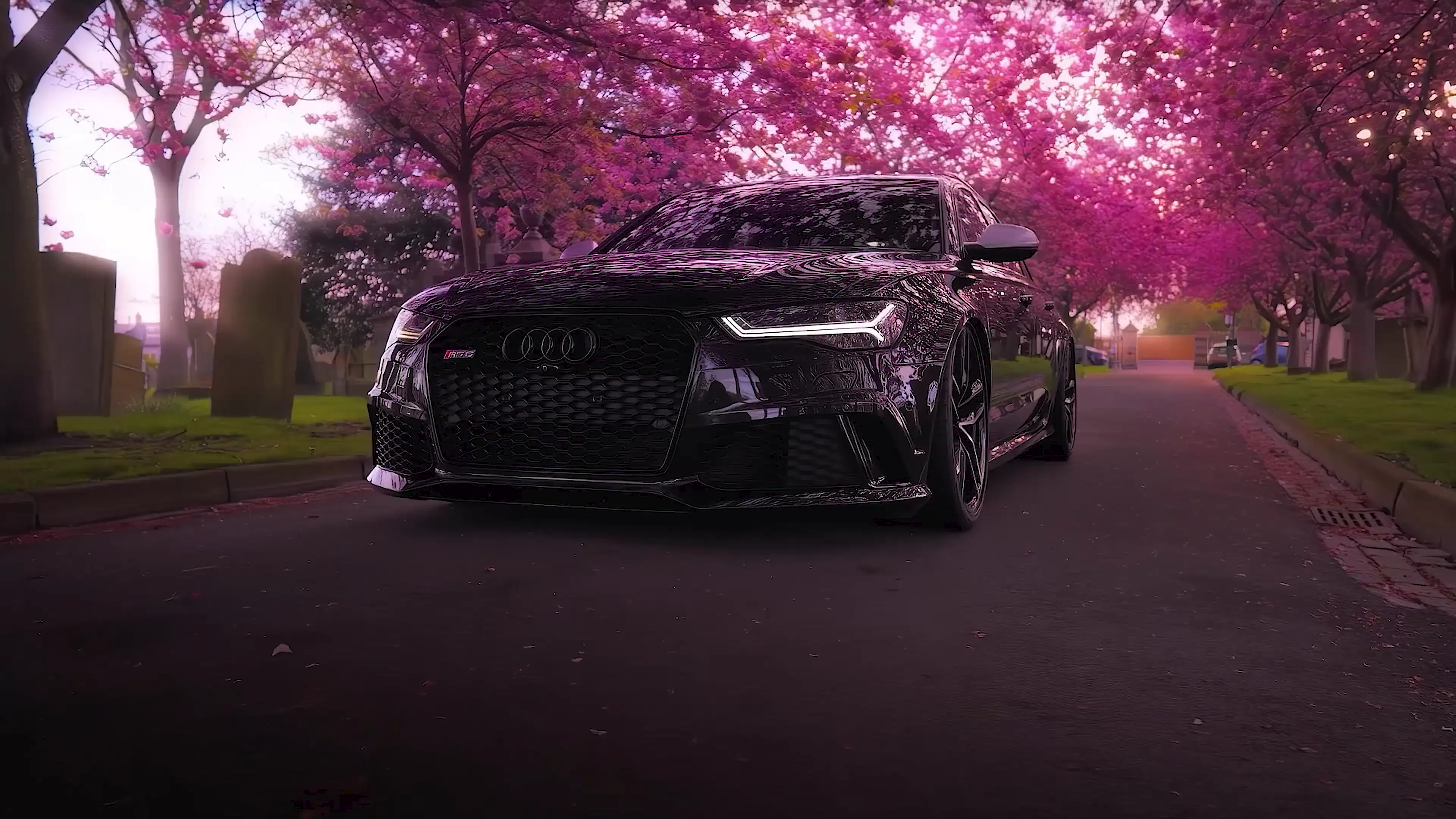 Live wallpaper Black Audi RS6 and rose trees download on VSThemes.org