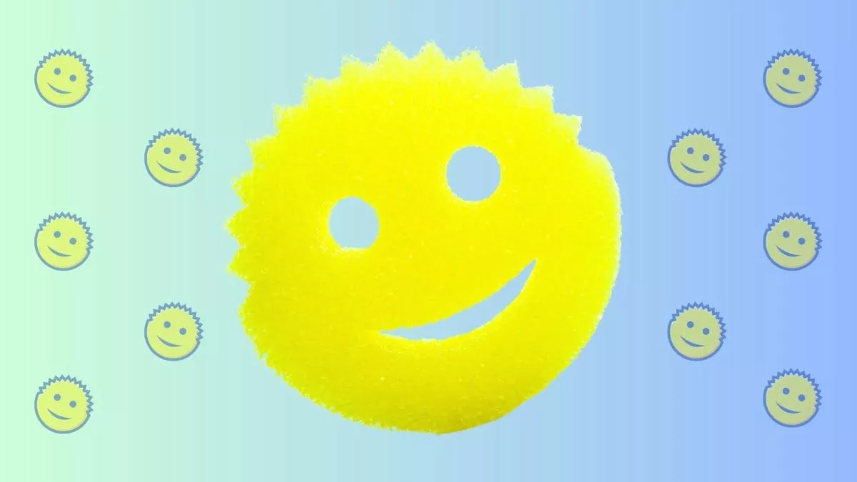 Different Uses For Scrub Daddy