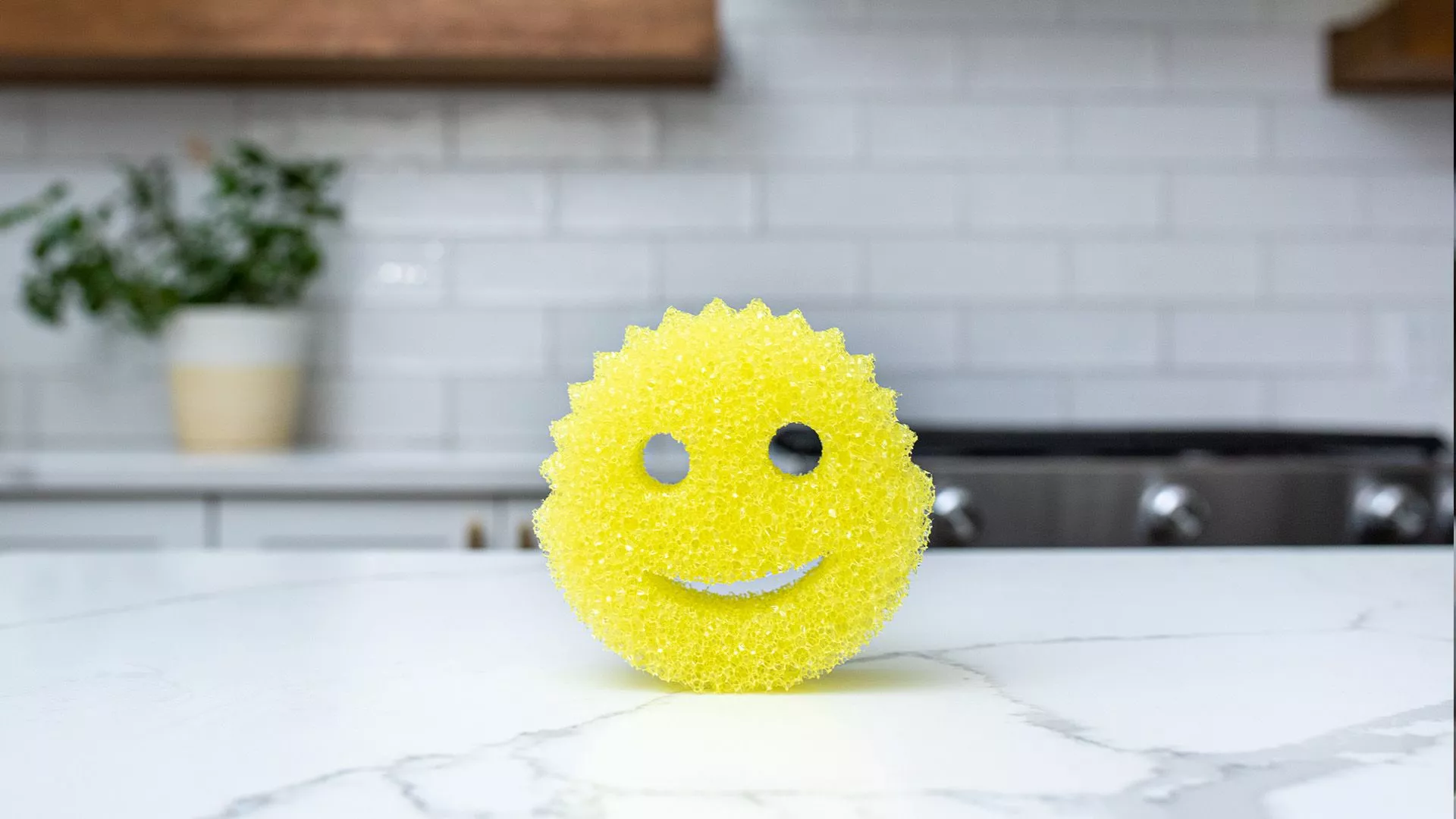 Scrub Daddy Europe B.V