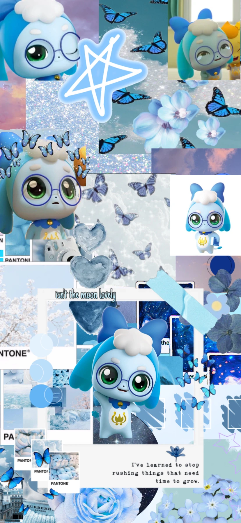 I need your attention