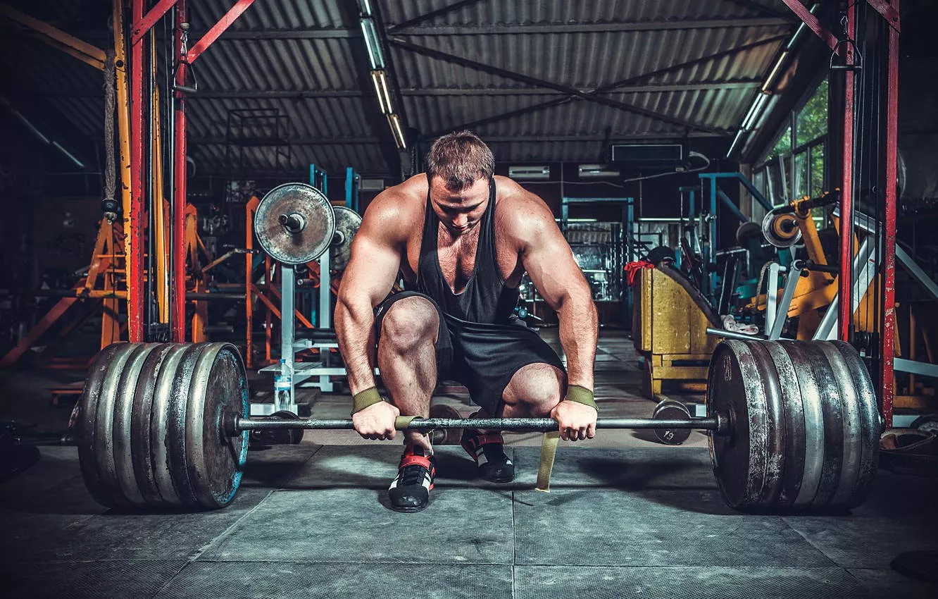 Large Muscles Weight Lifting Wallpaper