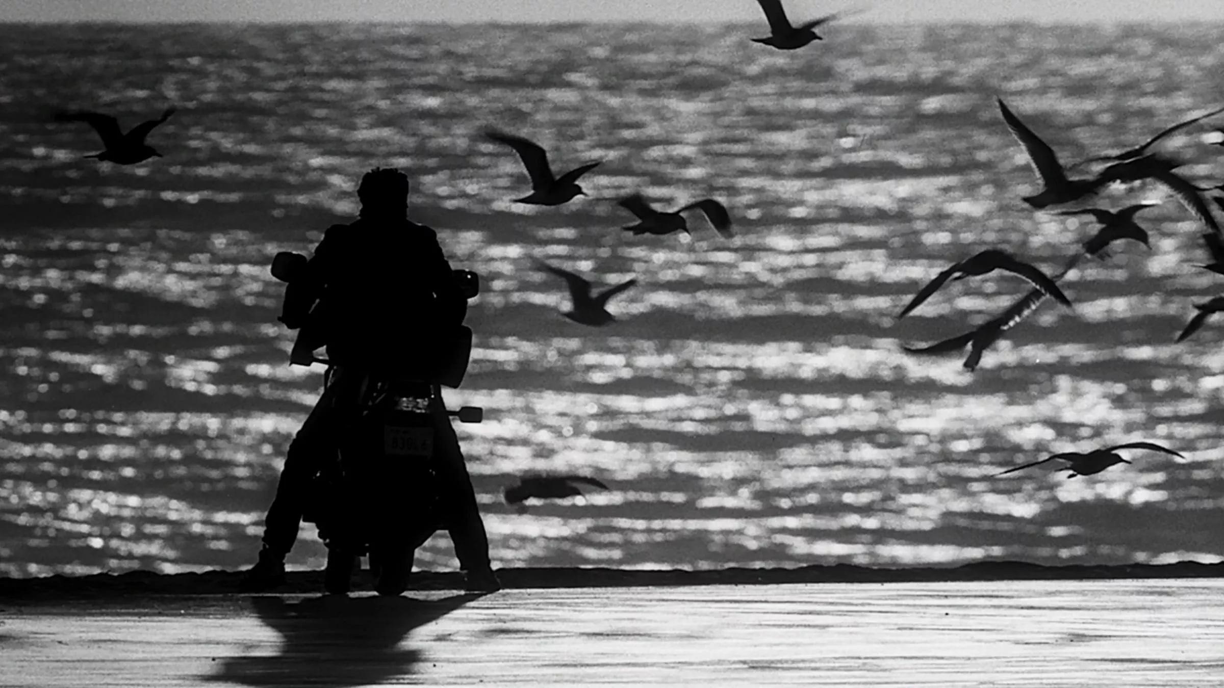 Things I Learned: Rumble Fish