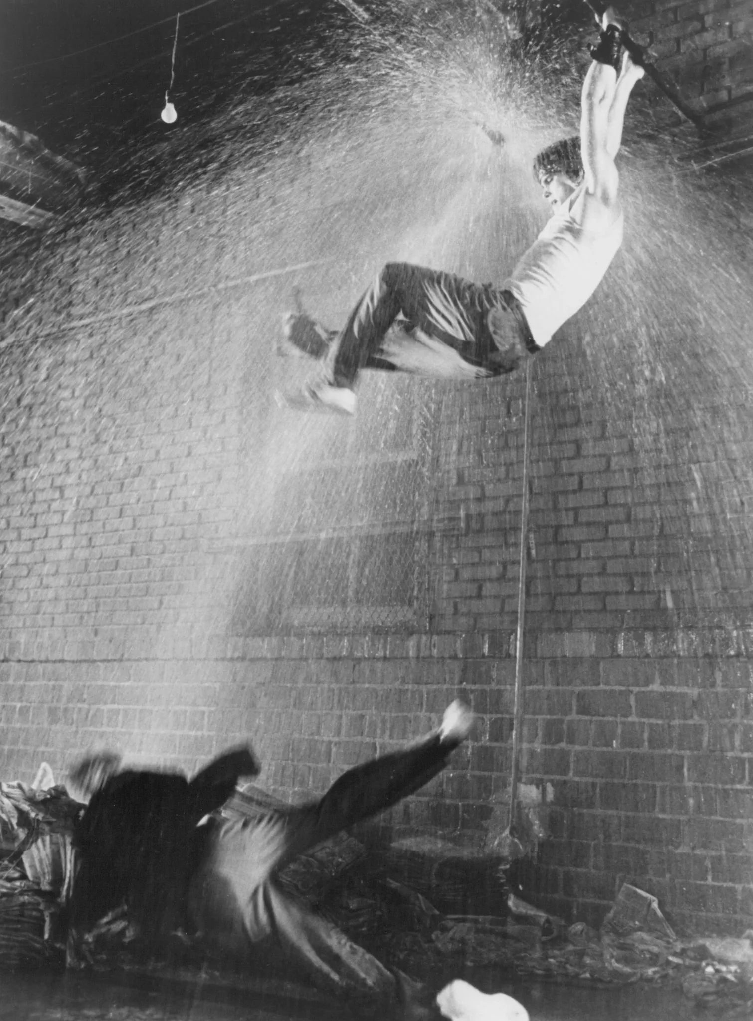 Rumble Fish