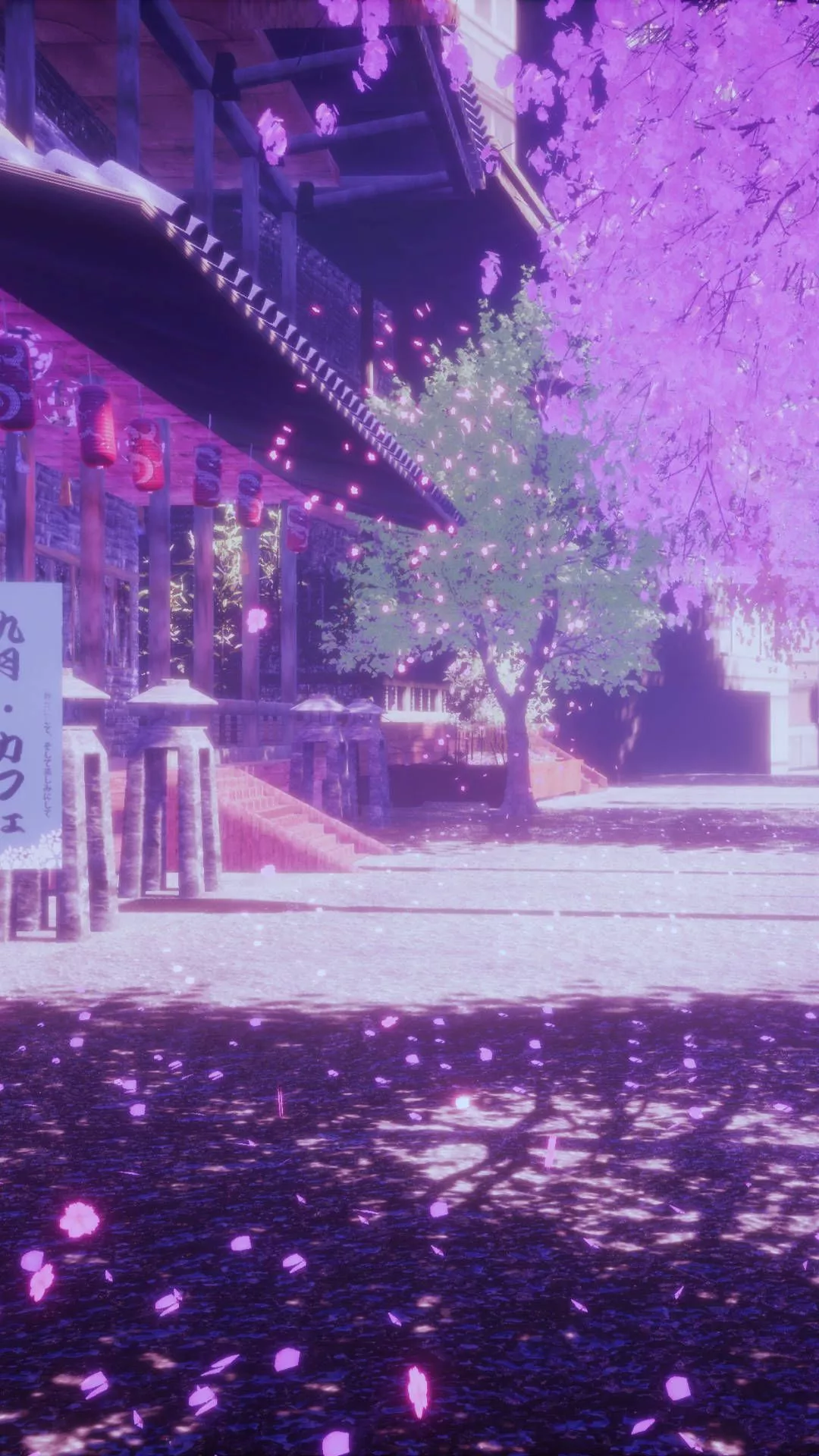 Light Purple Aesthetic Cherry Blossoms