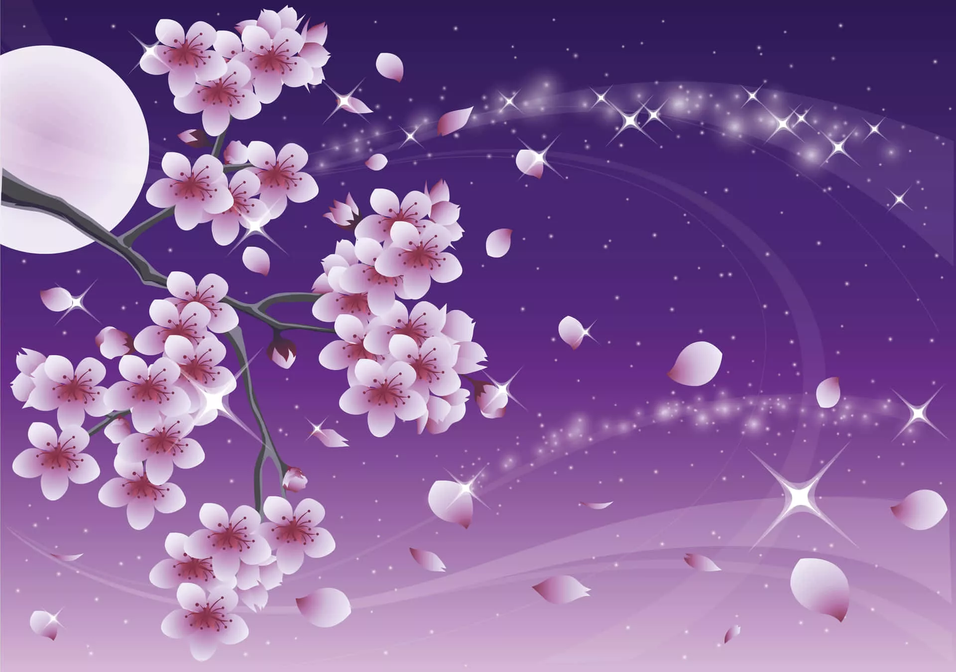 Sakura Blossom in spring. Wallpaper