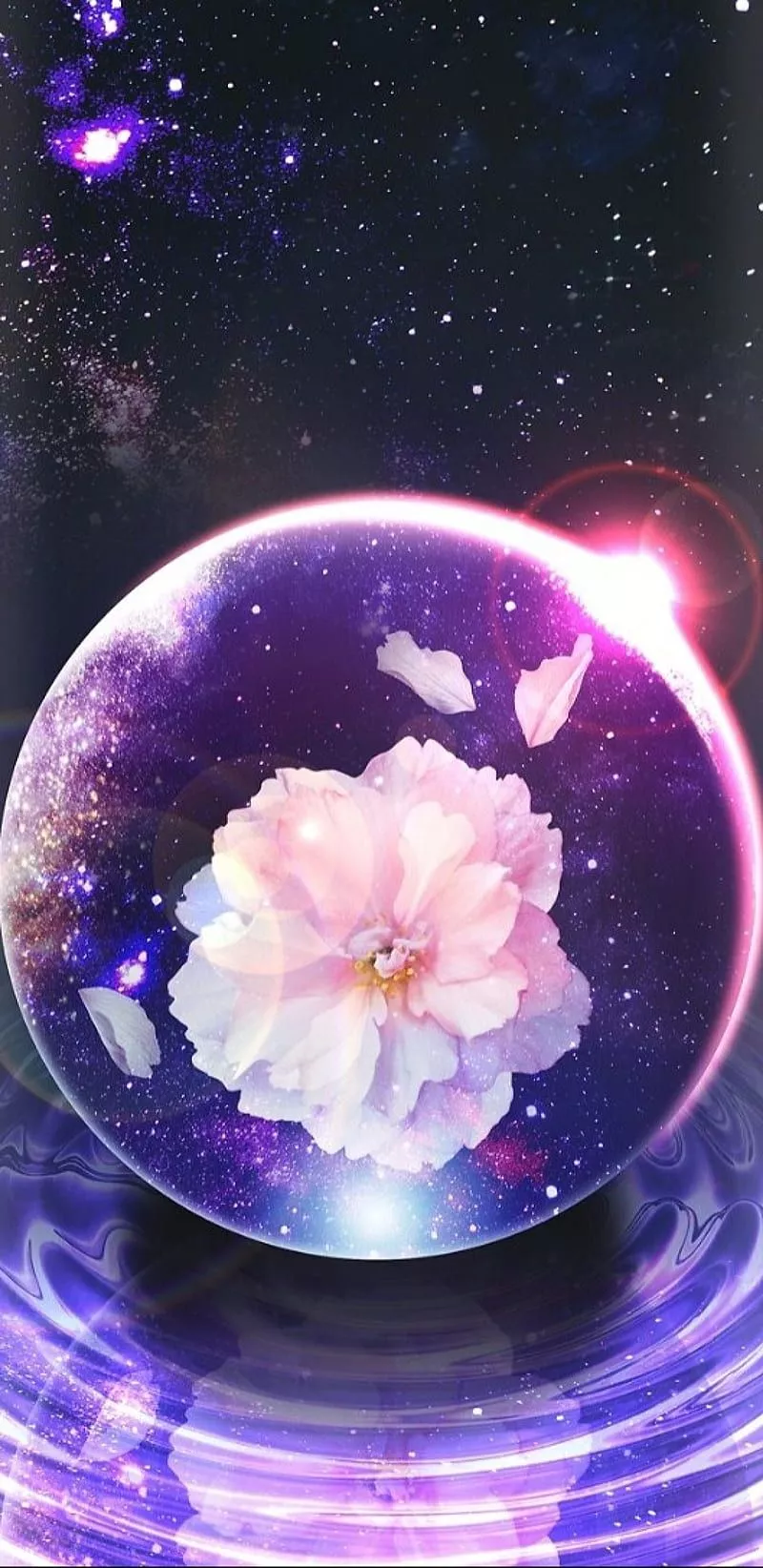 Cherry Globe, bonito, cherry blossom, pretty, purple, HD phone wallpaper