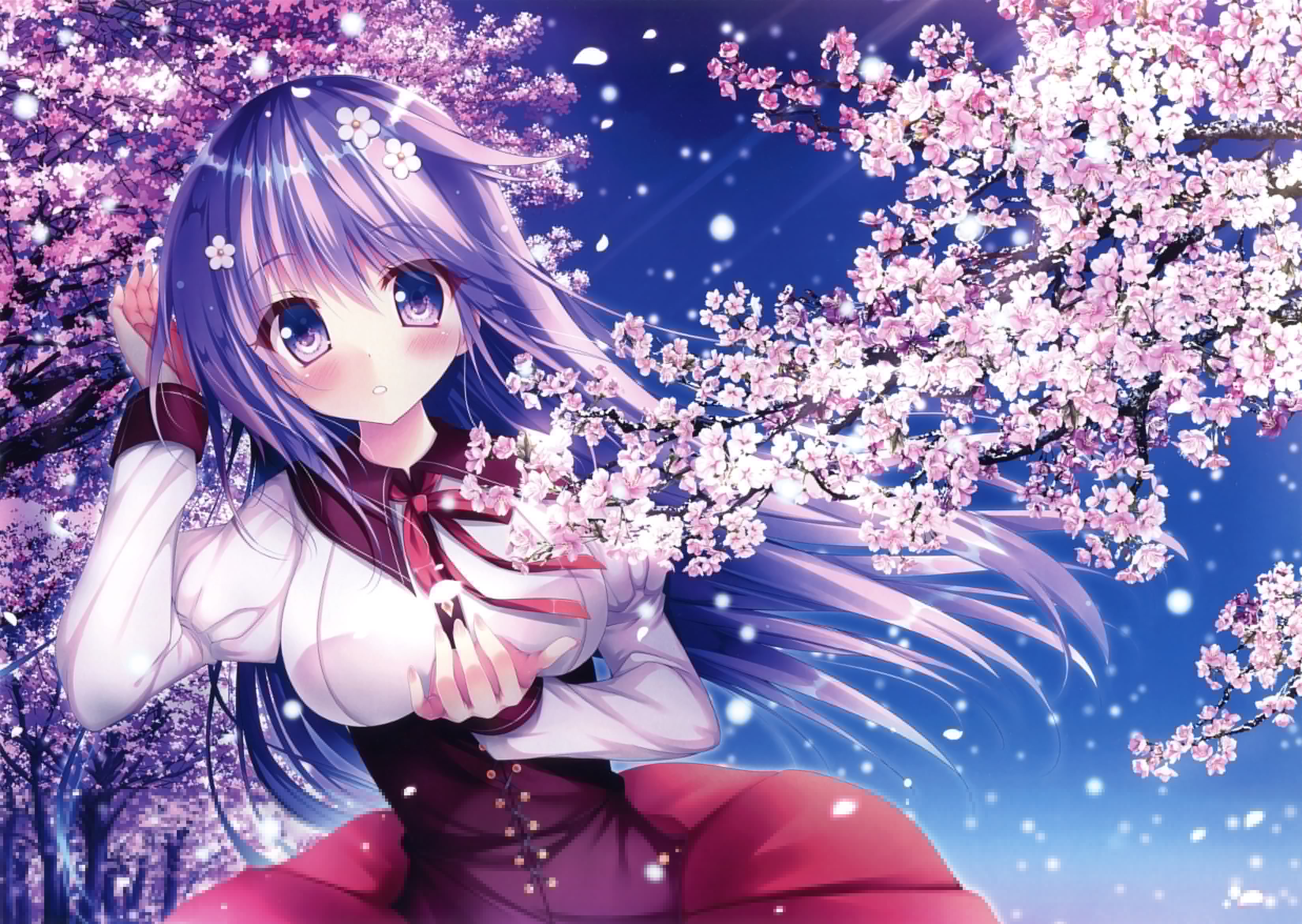 Wallpaper Flowers, Spring, Sakura, Girl