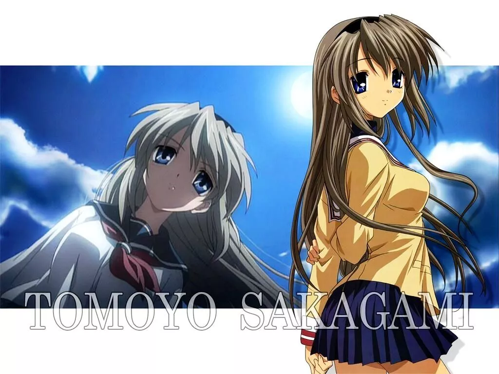 Sakagami Tomoyo Anime Shelf