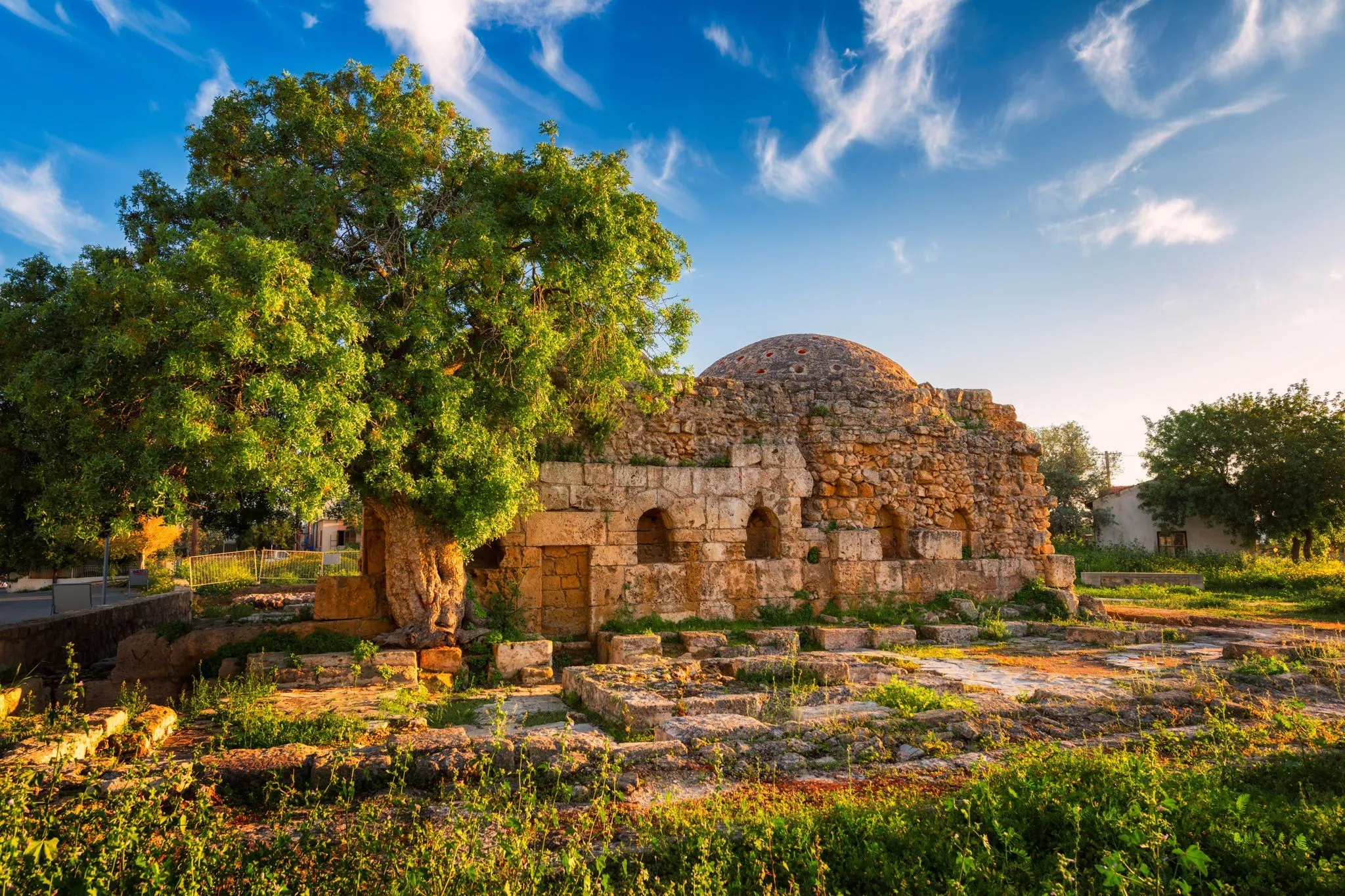 Paphos Photo Art Photography