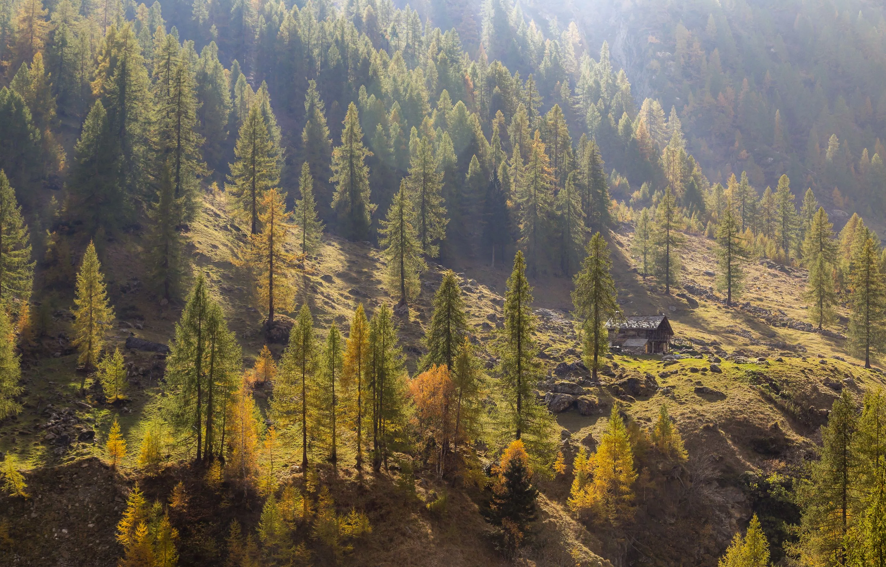 image Italy Le Piane Piedmont Autumn