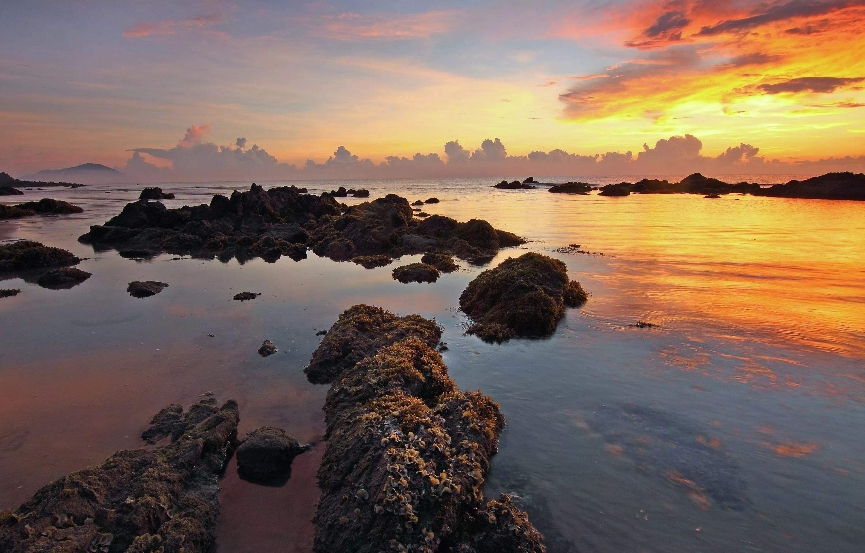 Water during Sunset · Free