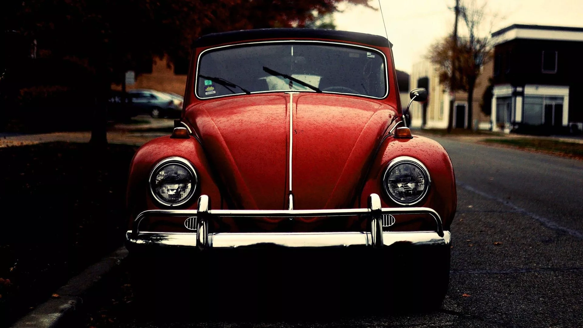 Wallpaper beetle, Volkswagen, beetle