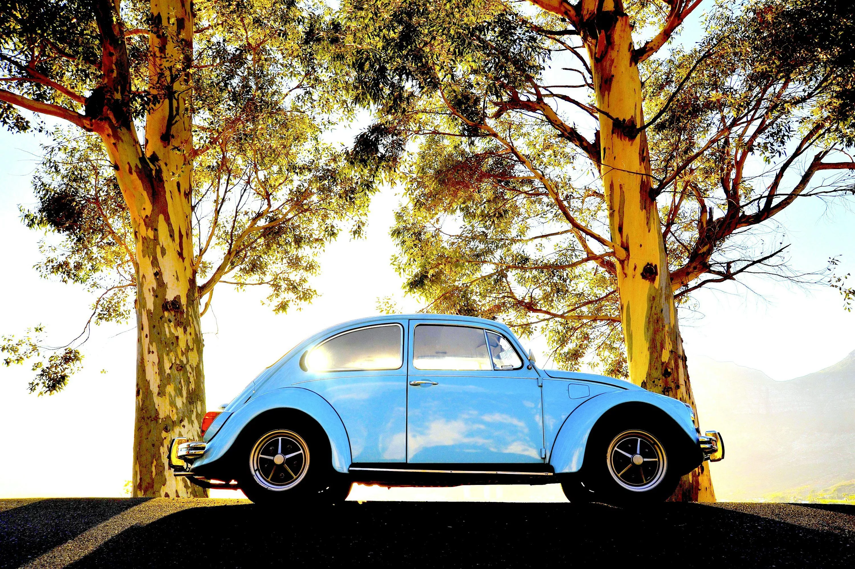 A blue vw bug parked in front of some