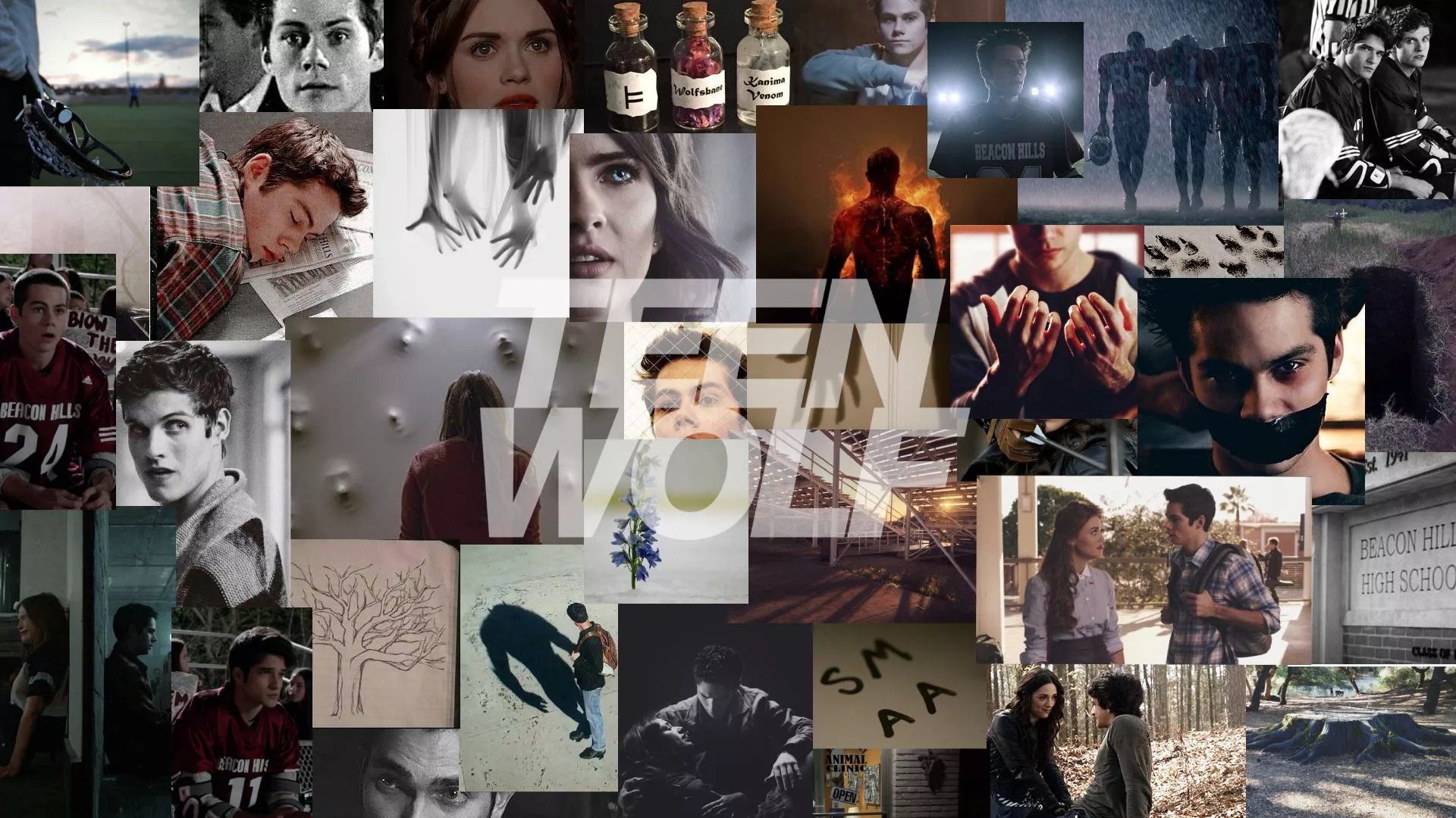 Teen Wolf Wallpaper (Laptop Computer)